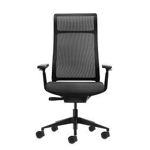 Oqonos Cherg 028 Silla de Oficina Ergonomica con Respaldo y Asiento de Malla Elastica, Mecanismo Autobalanceado, Reposabrazos 4D, Asiento Deslizable y