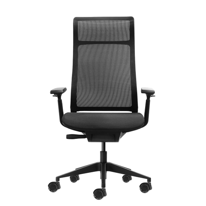 Oqonos Cherg 028 Silla de Oficina Ergonomica con Respaldo y Asiento de Malla Elastica, Mecanismo Autobalanceado, Reposabrazos 4D, Asiento Deslizable y 1