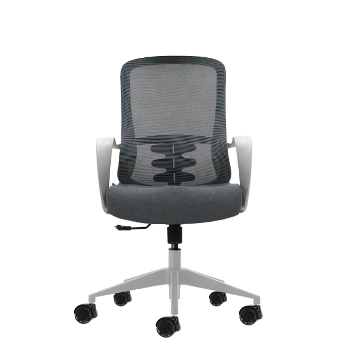 Oqonos Cherg 009 Silla de Oficina Ergonomica con Respaldo de Malla Transpirable, Piston de Gas Clase 4, Soporte Lumbar, Reposabrazos Fijos, Asiento Er 1