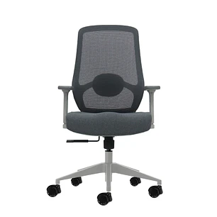 Oqonos Cherg 026 Silla de Oficina Ergonomica con Soporte Lumbar Ajustable en Altura y Profundidad, Reposabrazos 4D, Piston de Gas Clase 4, Asiento Erg