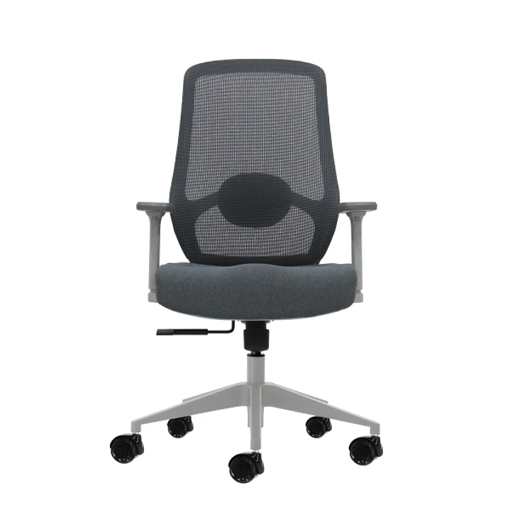 Oqonos Cherg 026 Silla de Oficina Ergonomica con Soporte Lumbar Ajustable en Altura y Profundidad, Reposabrazos 4D, Piston de Gas Clase 4, Asiento Erg 1