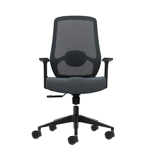 Oqonos Cherg 002 Silla de Oficina Ergonomica con Soporte Lumbar Ajustable en Altura y Profundidad, Respaldo de Malla Transpirable, Reposabrazos Fijos,