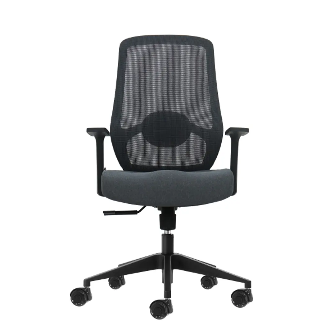 Oqonos Cherg 002 Silla de Oficina Ergonomica con Soporte Lumbar Ajustable en Altura y Profundidad, Respaldo de Malla Transpirable, Reposabrazos Fijos, 1