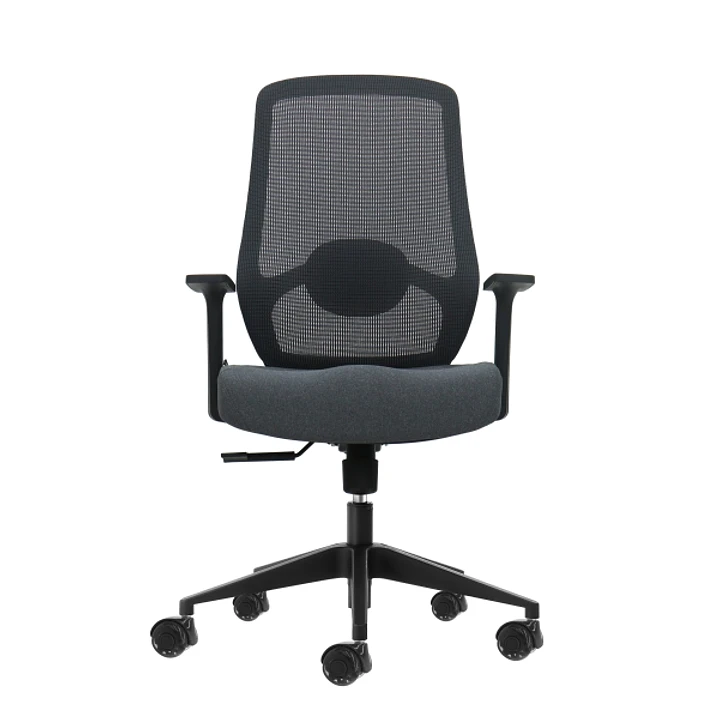 Oqonos Cherg 002 Silla de Oficina Ergonomica con Soporte Lumbar Ajustable en Altura y Profundidad, Respaldo de Malla Transpirable, Reposabrazos Fijos, 1