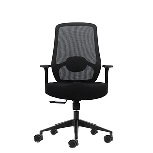 Oqonos Cherg 001 Silla de Oficina Ergonomica con Soporte Lumbar Ajustable en Altura y Profundidad, Respaldo de Malla Transpirable, Reposabrazos Fijos,
