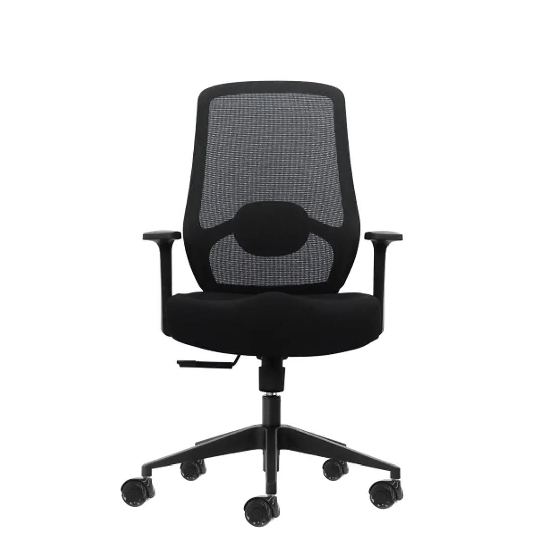 Oqonos Cherg 001 Silla de Oficina Ergonomica con Soporte Lumbar Ajustable en Altura y Profundidad, Respaldo de Malla Transpirable, Reposabrazos Fijos, 1