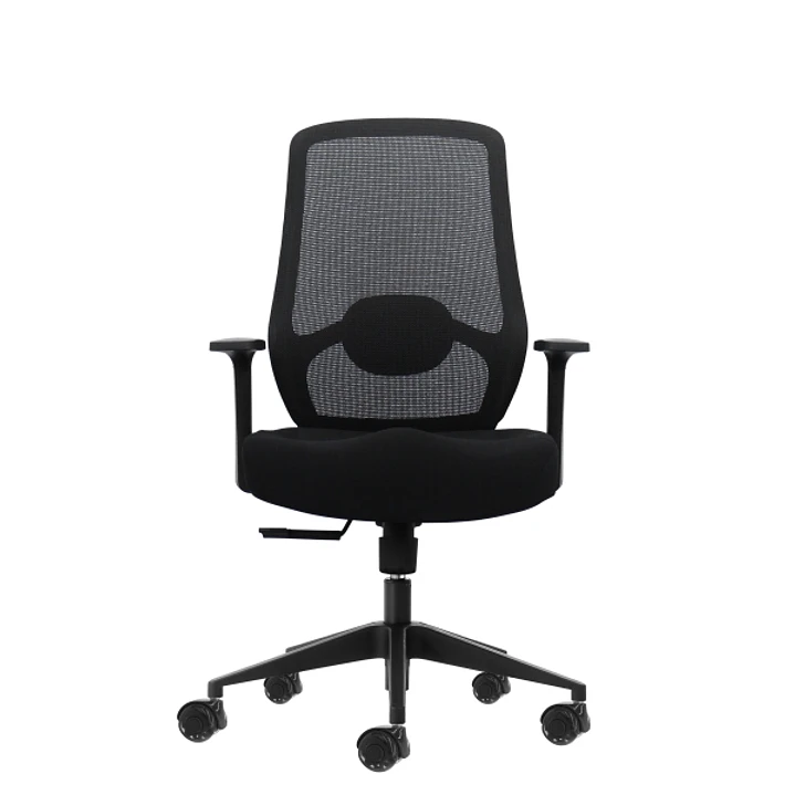 Oqonos Cherg 001 Silla de Oficina Ergonomica con Soporte Lumbar Ajustable en Altura y Profundidad, Respaldo de Malla Transpirable, Reposabrazos Fijos, 1