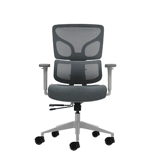 Oqonos Cherg 015 Silla de Oficina Ergonomica con Respaldo y Asiento de Malla Elastica, Reposabrazos 4D, Asiento Deslizable Ergonomico Moldeado y Rueda