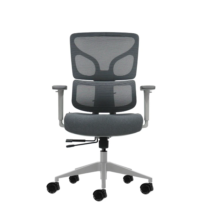 Oqonos Cherg 015 Silla de Oficina Ergonomica con Respaldo y Asiento de Malla Elastica, Reposabrazos 4D, Asiento Deslizable Ergonomico Moldeado y Rueda 1