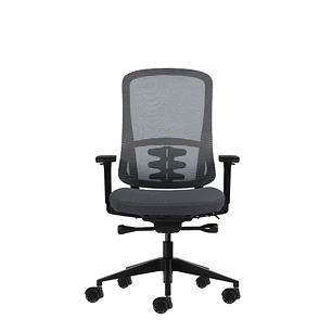 Oqonos Cherg 020 Silla de Oficina Ergonomica con Mecanismo Autobalanceado, Reposabrazos 4D, Asiento Deslizable y Ruedas de Silicona - Gris con Estruct