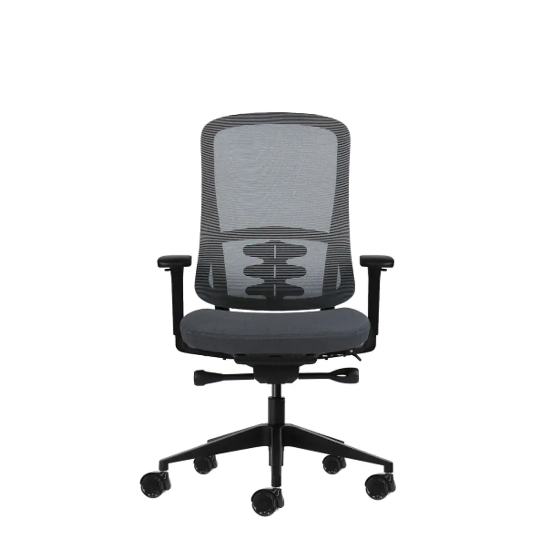 Oqonos Cherg 020 Silla de Oficina Ergonomica con Mecanismo Autobalanceado, Reposabrazos 4D, Asiento Deslizable y Ruedas de Silicona - Gris con Estruct 1