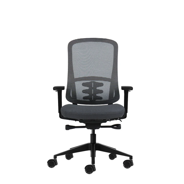 Oqonos Cherg 020 Silla de Oficina Ergonomica con Mecanismo Autobalanceado, Reposabrazos 4D, Asiento Deslizable y Ruedas de Silicona - Gris con Estruct 1