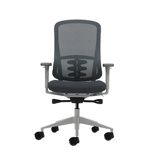 Oqonos Cherg 023 Silla de Oficina Ergonomica con Mecanismo Autobalanceado, Reposabrazos 4D, Asiento Deslizable y Ruedas de Silicona - Gris