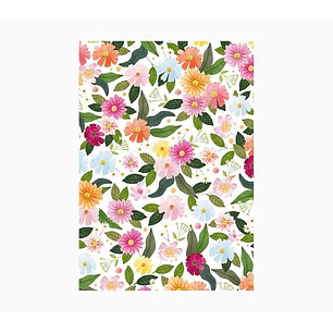 Pictura Cuaderno A6 - 105x150mm - 48 Paginas con Lineas - Papel con Certificacion FSC