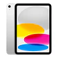 Apple IPAD WI-FI CELL 256GB SILVER - Miniatura 1