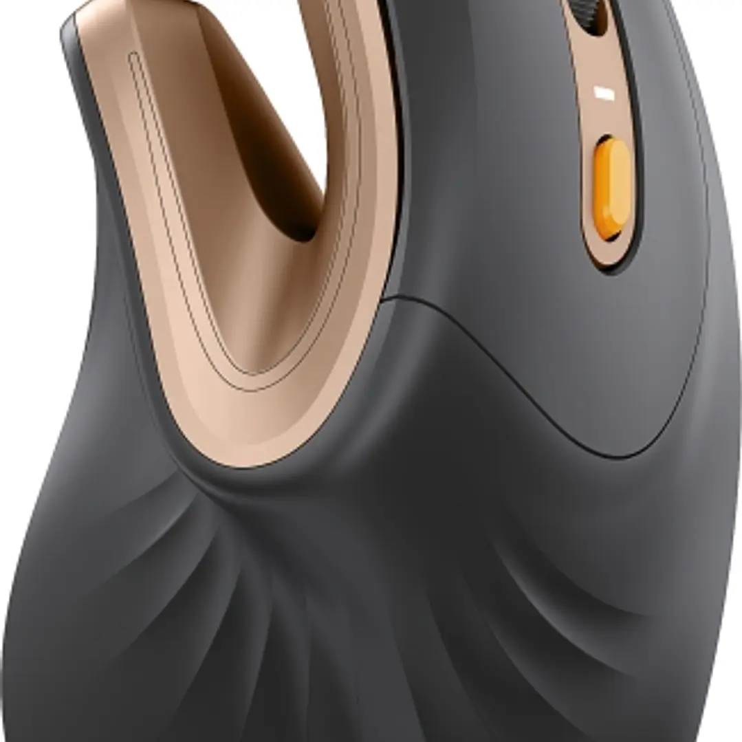 ProtoArc EM11 NL Raton Vertical Ergonomico Inalambrico - 2400 dpi -  Bluetooth + 2.4Ghz - Bateria Recargable - Multidispositivo - Color Negro y Dorado 1
