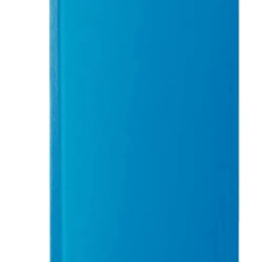 Esselte Carpeta Miniclip Din A4+ - Tarjetero y Bolsa Interior - Material PVC - Medidas 238x17x315mm - Color Azul 1