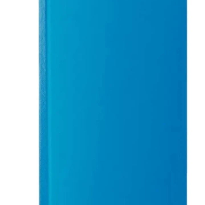 Esselte Carpeta Miniclip Din A4+ - Tarjetero y Bolsa Interior - Material PVC - Medidas 238x17x315mm - Color Azul 1