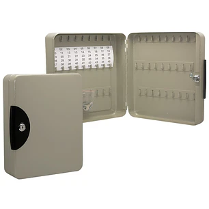 Armario Porta Llaves Metalico con Cierre - 54 Posiciones - Ideal para Oficinas y Almacenes - Organizacion y Acceso Facil  - Color Gris