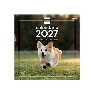 Finocam Cachorros Calendario de Pared - 16 Meses 26/27 - Mes Vista - 300x300mm - Papel de 170g/m2 - Imagenes Tematicas Surtidas - Espacio para Notas