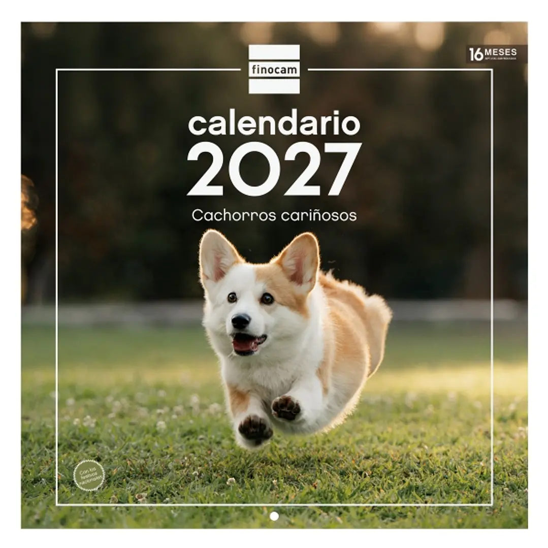 Finocam Cachorros Calendario de Pared - 16 Meses 26/27 - Mes Vista - 300x300mm - Papel de 170g/m2 - Imagenes Tematicas Surtidas - Espacio para Notas 1