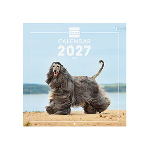 Finocam Dogs Calendario de Pared Internacional - 16 Meses 26/27 - Mes Vista - 300x300mm - Papel de 170g/m2 - Imagenes Tematicas Surtidas - Espacio par