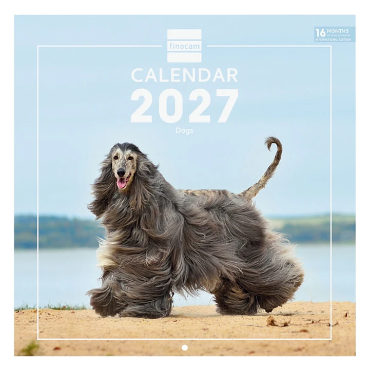 Finocam Dogs Calendario de Pared Internacional - 16 Meses 26/27 - Mes Vista - 300x300mm - Papel de 170g/m2 - Imagenes Tematicas Surtidas - Espacio par 1
