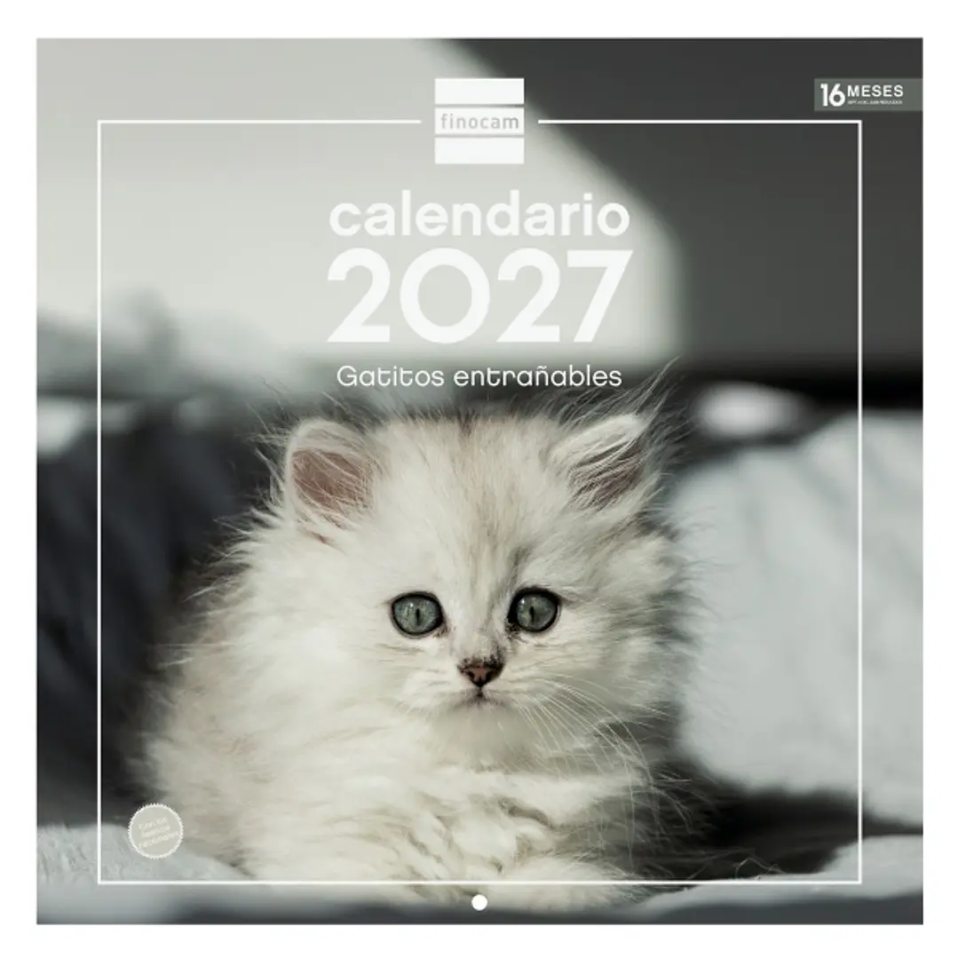 Finocam Gatitos Calendario de Pared - 16 Meses 26/27 - Mes Vista - 300x300mm - Papel de 170g/m2 - Imagenes Tematicas Surtidas - Espacio para Notas 1