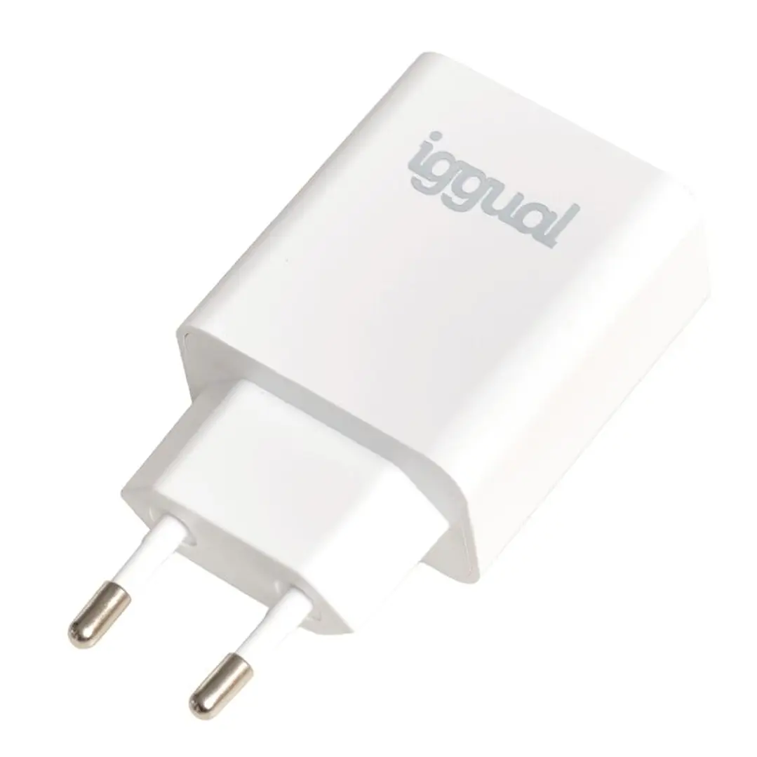 iggual Cargador rápido USB PD tipo C 20W 1