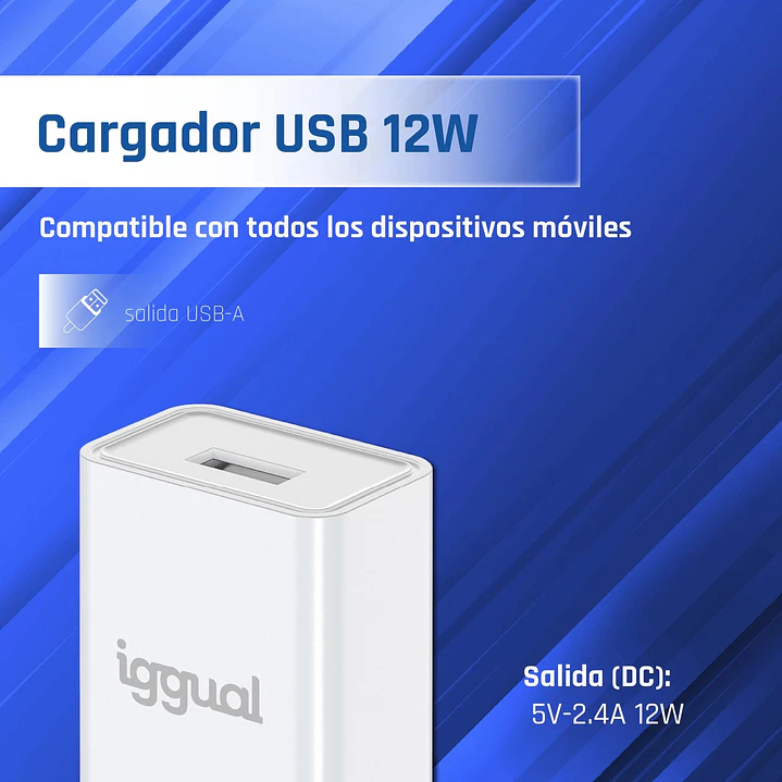 iggual Cargador de pared 1xUSB-A 5V/2.4A (12W) 2
