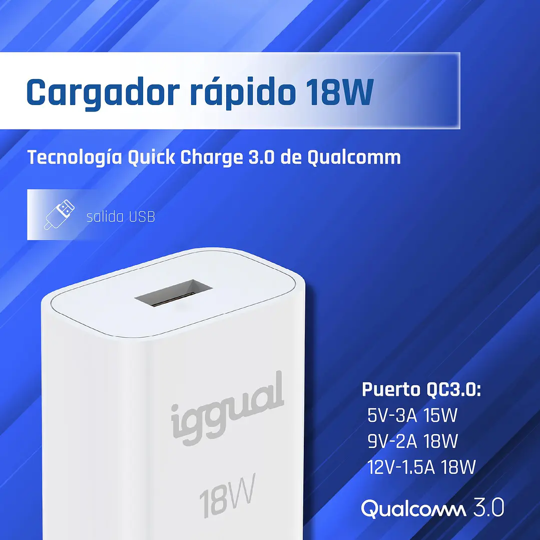 iggual Cargador 1xUSB-A carga rápida QC3.0 18W 2