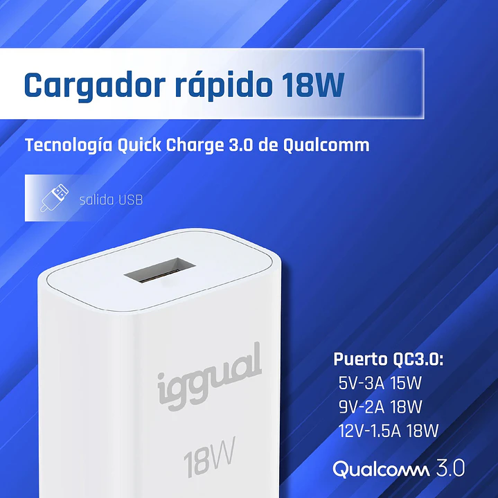 iggual Cargador 1xUSB-A carga rápida QC3.0 18W 2
