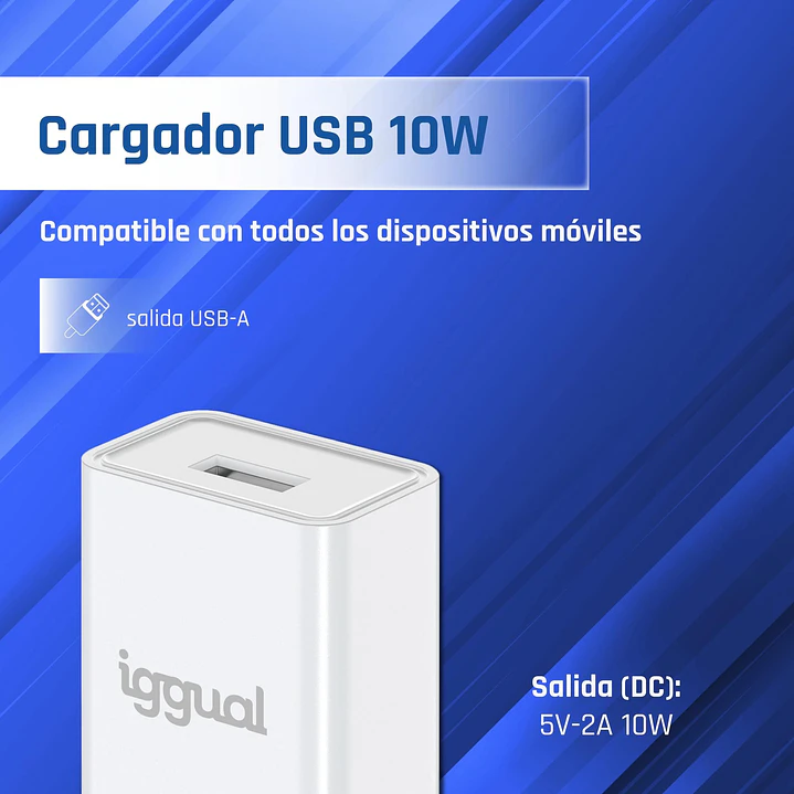 iggual Cargador de pared 1xUSB-A 5V/2A (10W) 2