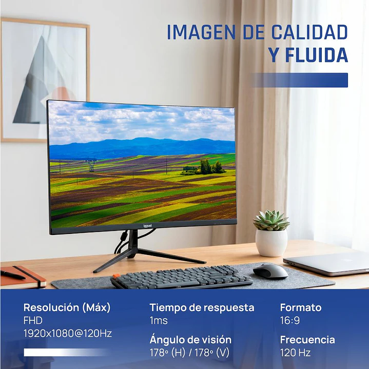 iggual Monitor 24