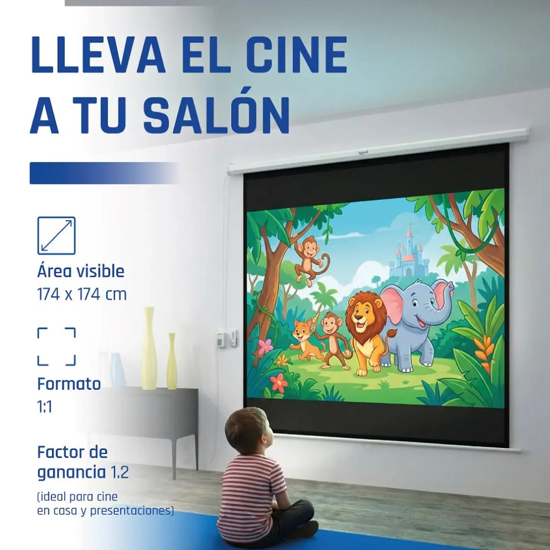 iggual Pantalla eléctrica 1:1 100