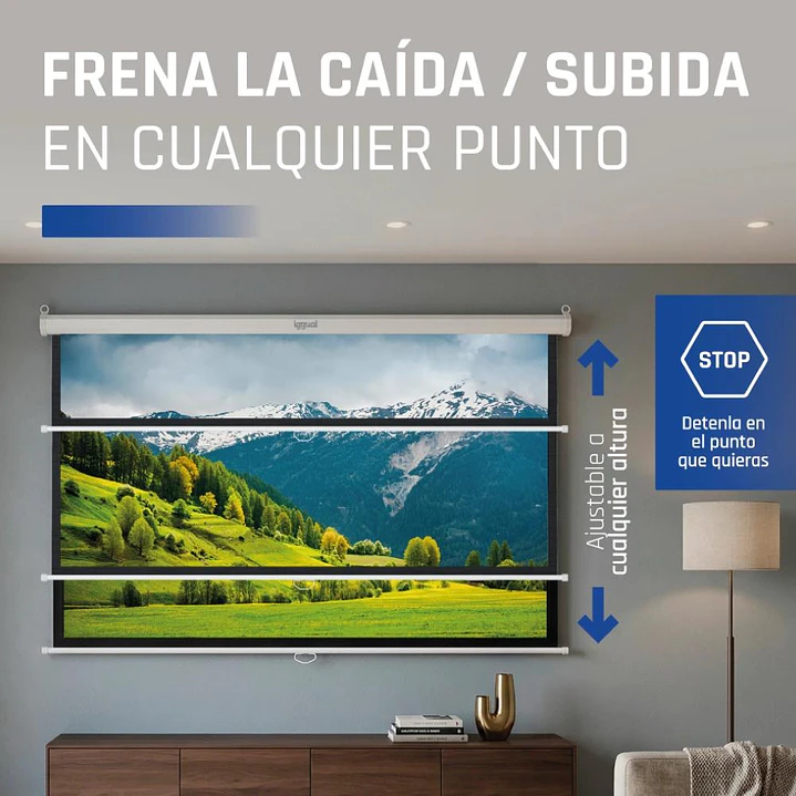 iggual Pantalla manual 1:1 112