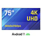 iggual Pantalla señalización 4K 75