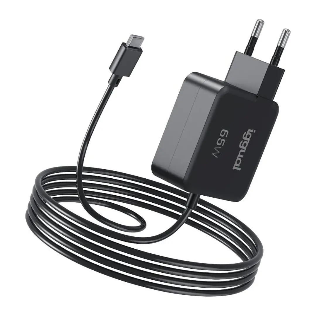 iggual Cargador portátil y móvil tipo C PD 65W 1