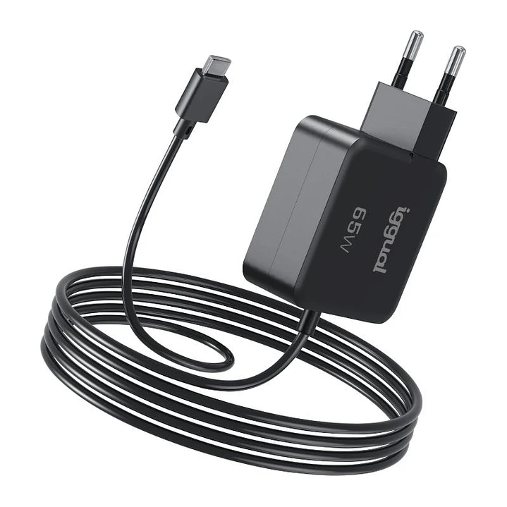 iggual Cargador portátil y móvil tipo C PD 65W 1
