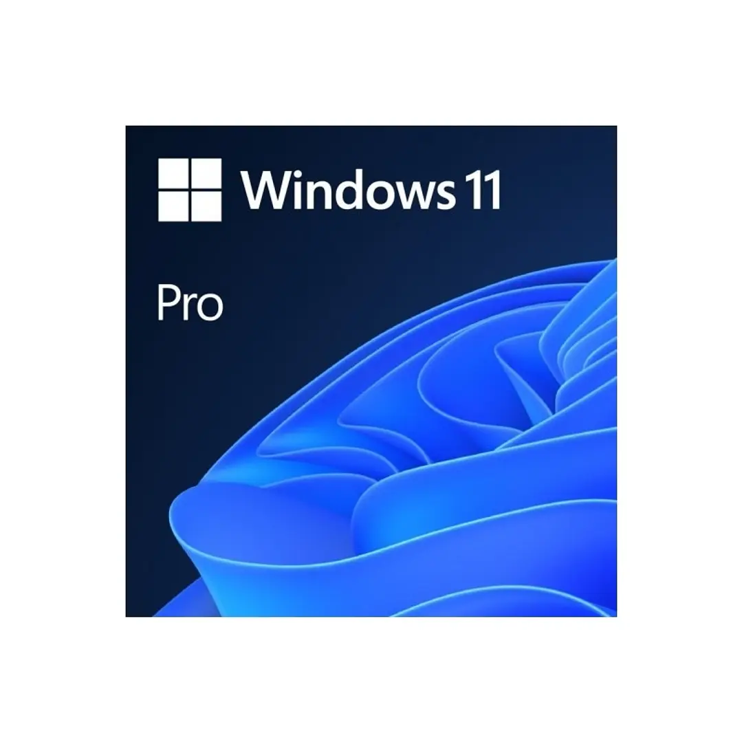 Microsoft Windows 11 Pro 64b  Es OEM DVD 1