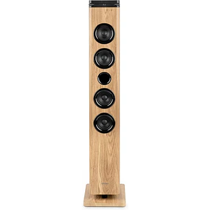 Thomson DS220CD Torre de Sonido 60W Bluetooth 5.3 - Reproductor de CD - Entrada AUX 3,5mm, USB y Lector de Tarjetas SD/MMC - Mando a Distancia - Color