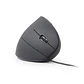 GEMBIRD Ratón óptico USB erg 6 botones cable Negro - Miniatura 2