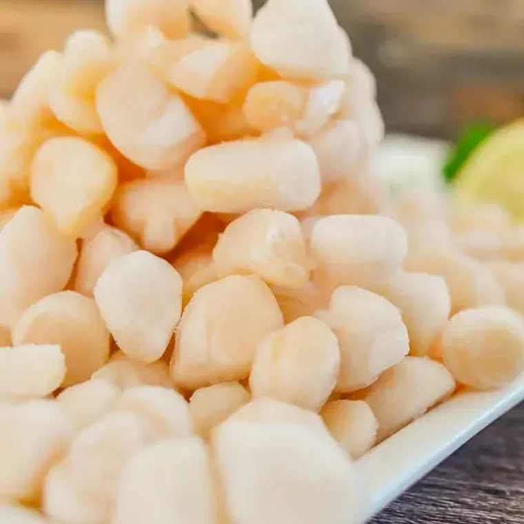 Ostión sin Coral 20-40 Sea Garden 1KG 1