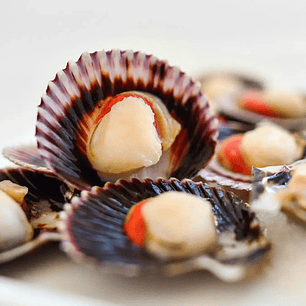 Ostión Media Concha ODN Calibre 20/30 1KG