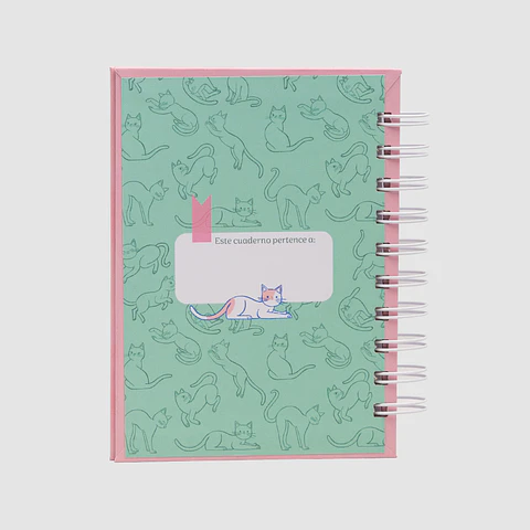 Gatitos Rosados