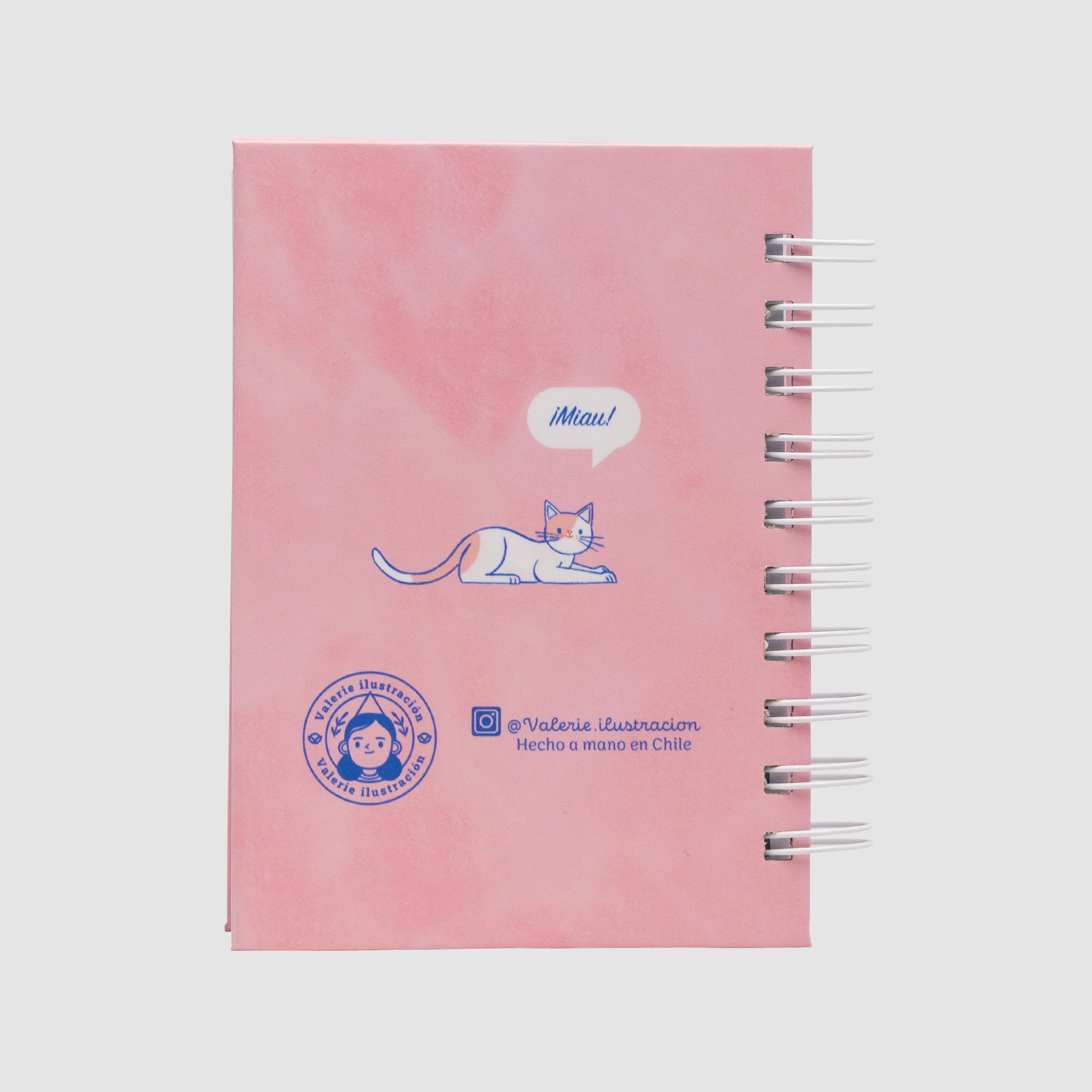 Gatitos Rosados 4