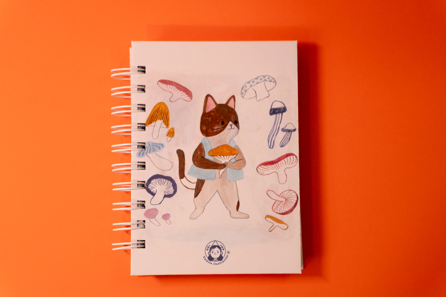 Gato y Hongos 1