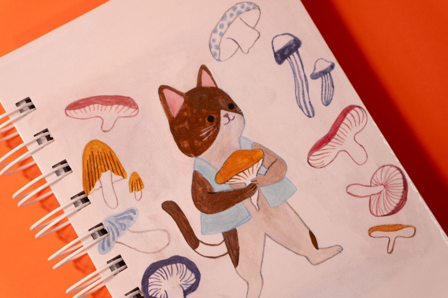 Gato y Hongos 2