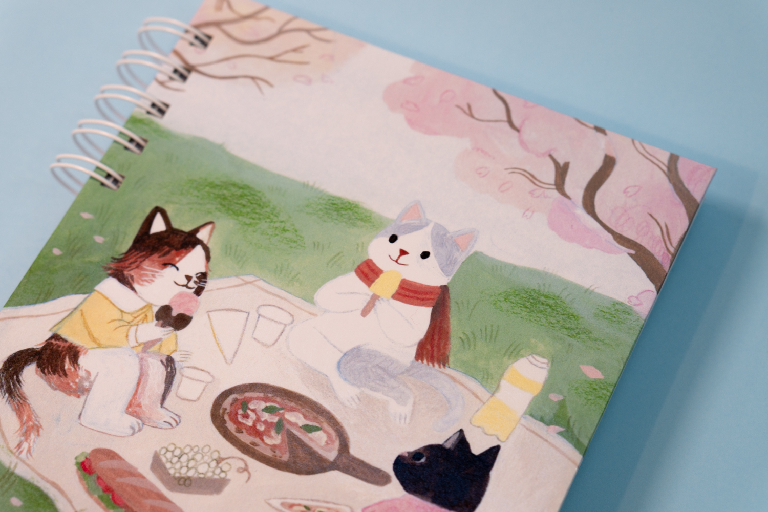 Sakura Picnic 2