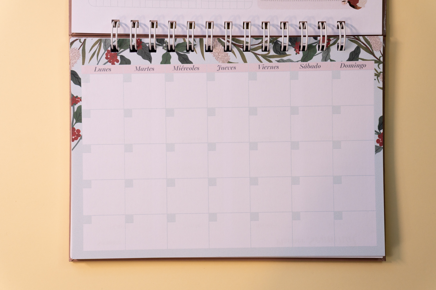 Zorritos Planner 4